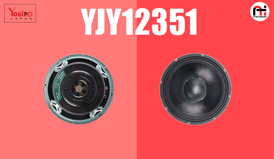 Ferrite DJ Speaker 12 Inch 500 Watt Model YJY12351