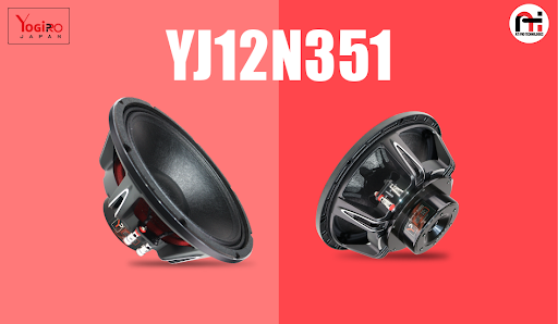 Neodymium DJ Speaker 12Inch 800 Watt YJ12N351